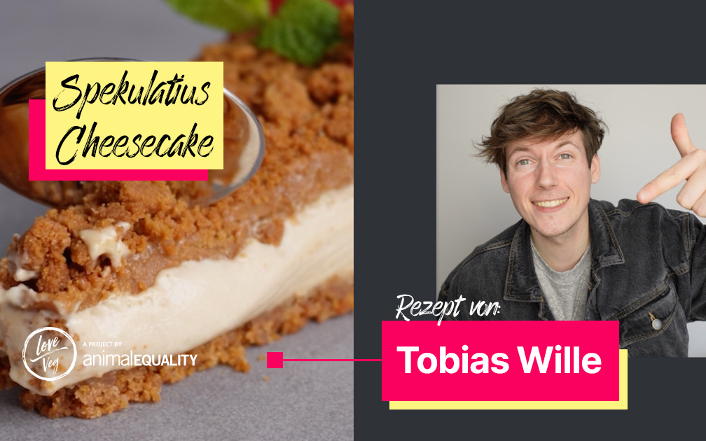 Spekulatius-Cheesecake Tobias Wille