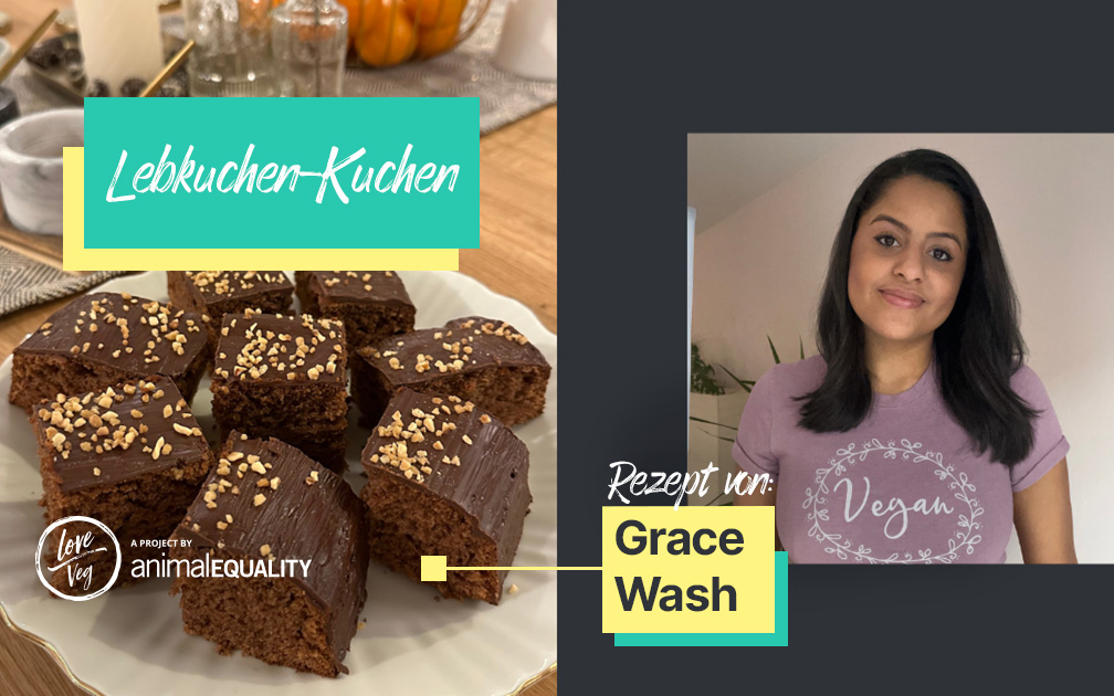 Lebkuchen-Kuchen Grace Wash