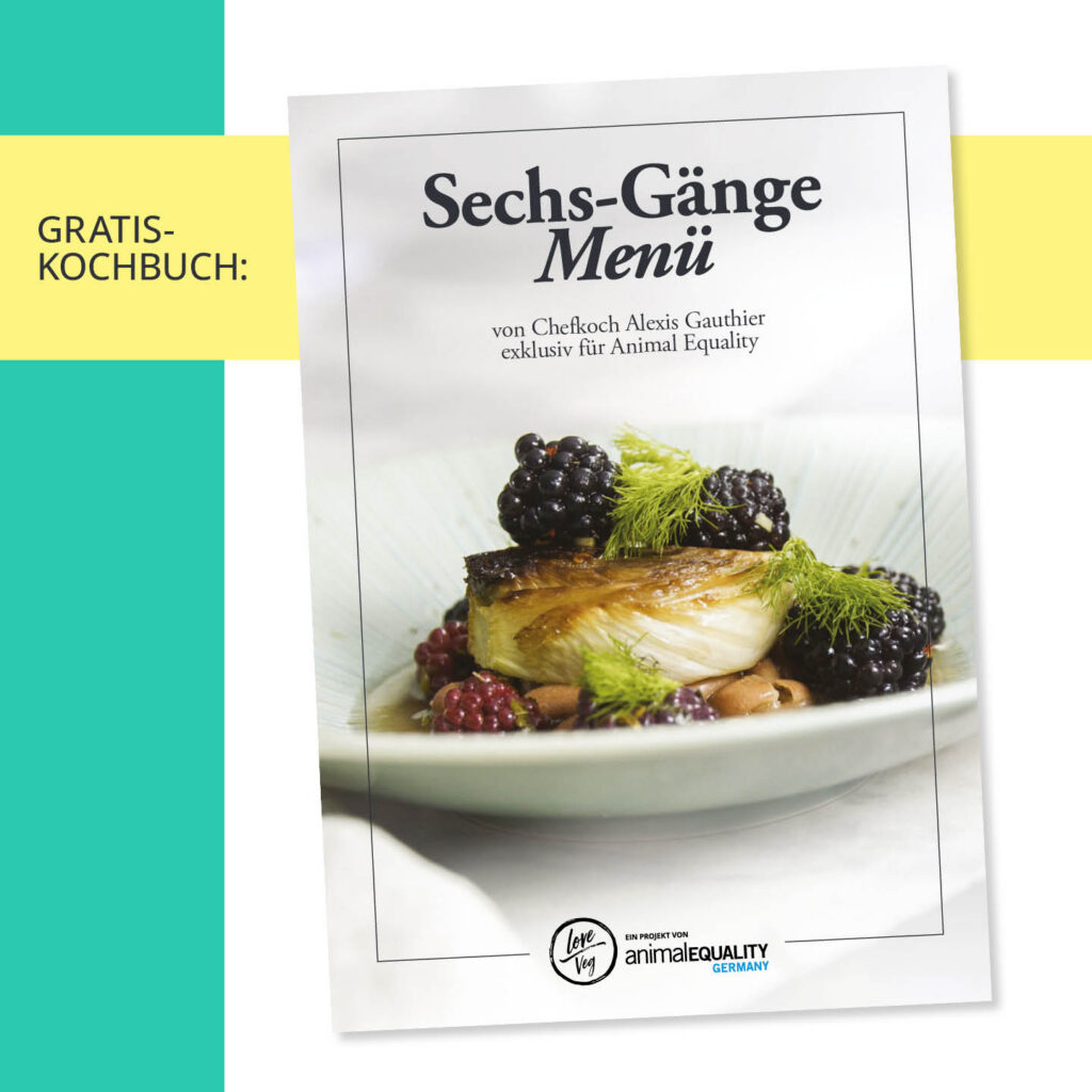 Alexis Gauthier Kochbuch